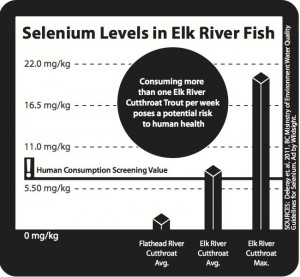 Elk River selenium pollution